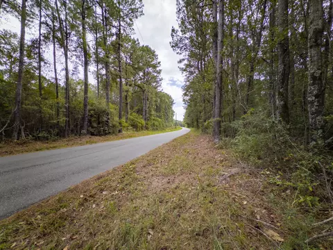 0 Old Progress Rd, Moselle, MS 39459 photo 4