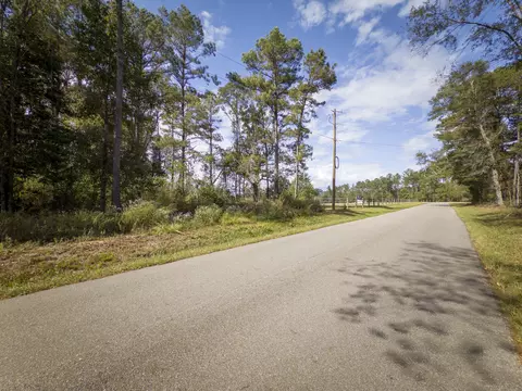 0 Old Progress Rd, Moselle, MS 39459 photo 5
