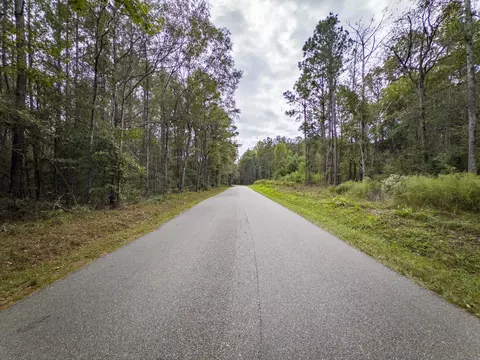 0 Old Progress Rd, Moselle, MS 39459 photo 3