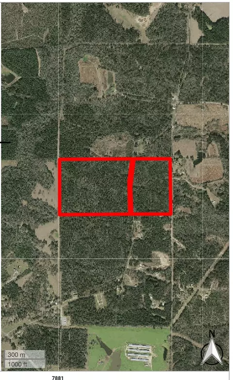 0 Old Progress Rd, Moselle, MS 39459 photo 2