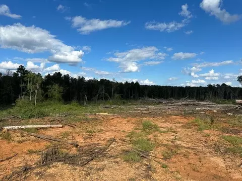 32 Acres - Garner Rd, Mount Olive, MS 39119 photo 4