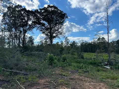 32 Acres - Garner Rd, Mount Olive, MS 39119 photo 5