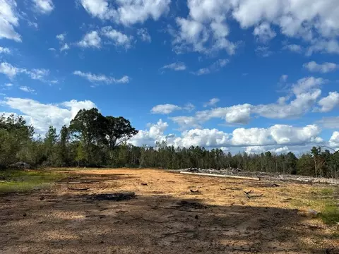 32 Acres - Garner Rd, Mount Olive, MS 39119 photo 7