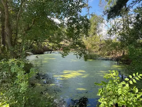 32 Acres - Garner Rd, Mount Olive, MS 39119