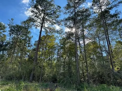 32 Acres - Garner Rd, Mount Olive, MS 39119 photo 8
