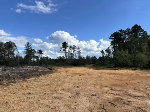 32 Acres - Garner Rd, Mount Olive, MS 39119 photo 2