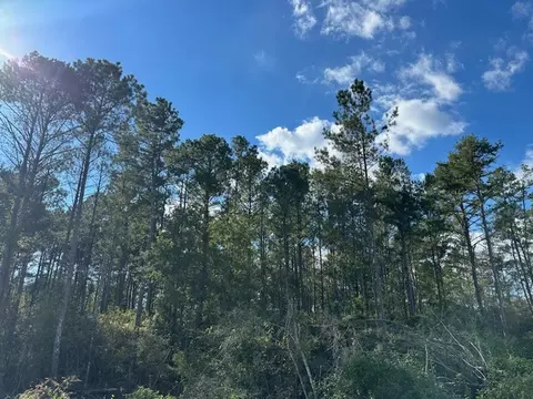 32 Acres - Garner Rd, Mount Olive, MS 39119 photo 6