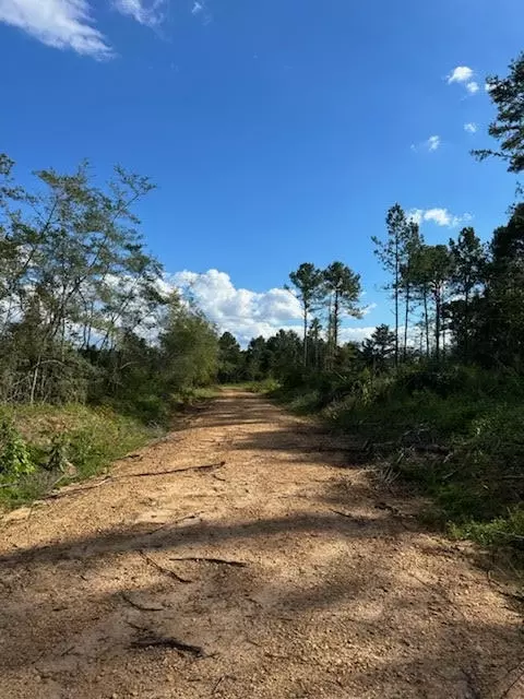32 Acres - Garner Rd, Mount Olive, MS 39119 photo 9