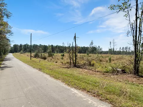 261 Mol Ac Krone Rd, Richton, MS 39476 photo 23