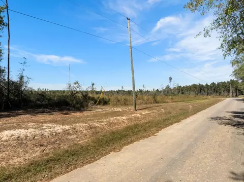 261 Mol Ac Krone Rd, Richton, MS 39476 photo 22