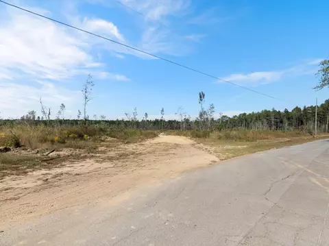 261 Mol Ac Krone Rd, Richton, MS 39476 photo 21