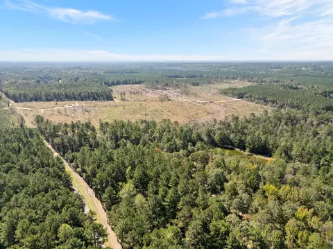 261 Mol Ac Krone Rd, Richton, MS 39476 photo 37