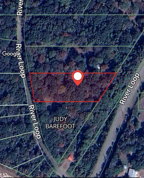 192 River Loop, Beaumont, MS 39423