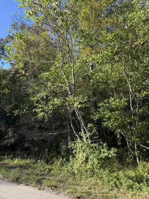 lot37 Forrest Hills Dr, Hattiesburg, MS 39402