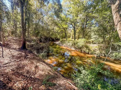 View/Area - 139 E Wilkerson Ferry Rd, Lucedale, MS 39452 photo 1 of 7