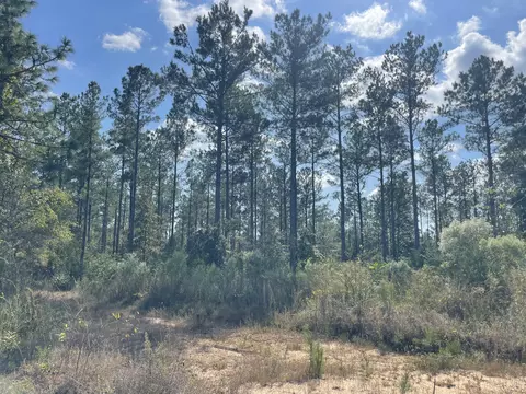 tbd Holly Springs Rd, Foxworth, MS 39483