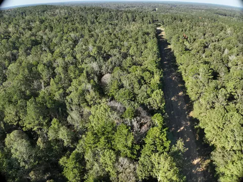 tbd Off Of Tilton Rd, Monticello, MS 39654 photo 11
