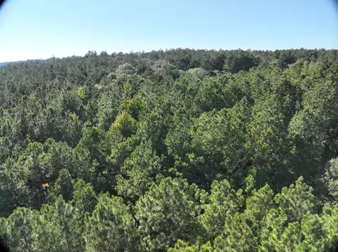 tbd Off Of Tilton Rd, Monticello, MS 39654 photo 17