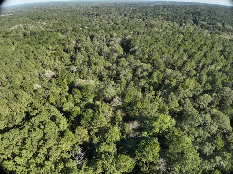 tbd Off Of Tilton Rd, Monticello, MS 39654 photo 7