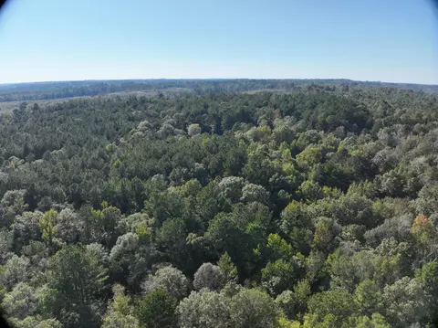 tbd Off Of Tilton Rd, Monticello, MS 39654 photo 12