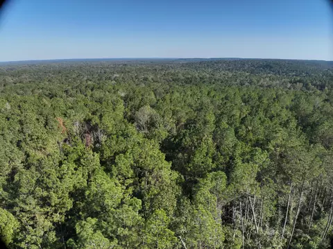 tbd Off Of Tilton Rd, Monticello, MS 39654 photo 4