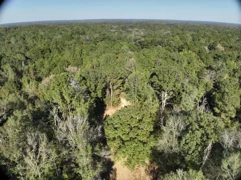 tbd Off Of Tilton Rd, Monticello, MS 39654 photo 10