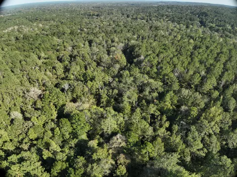 tbd Off Of Tilton Rd, Monticello, MS 39654 photo 8