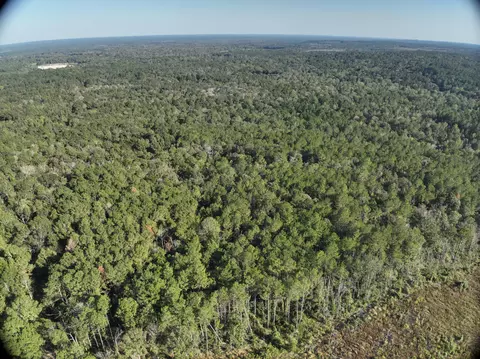 tbd Off Of Tilton Rd, Monticello, MS 39654 photo 3