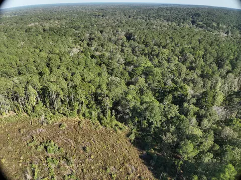tbd Off Of Tilton Rd, Monticello, MS 39654 photo 6