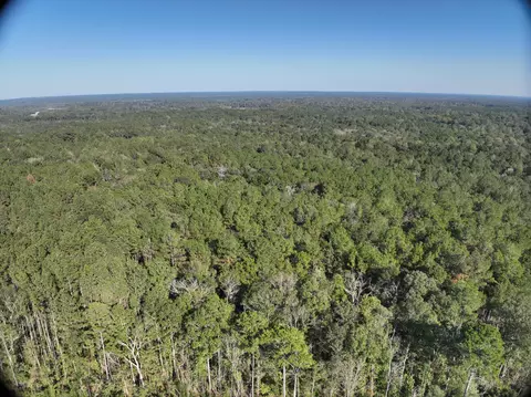tbd Off Of Tilton Rd, Monticello, MS 39654 photo 5