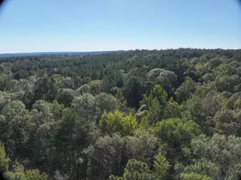 tbd Off Of Tilton Rd, Monticello, MS 39654 photo 18