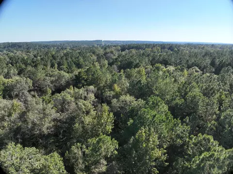 tbd Off Of Tilton Rd, Monticello, MS 39654 photo 14