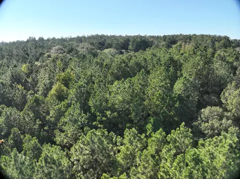 tbd Off Of Tilton Rd, Monticello, MS 39654 photo 13