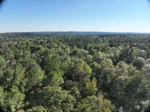 tbd Off Of Tilton Rd, Monticello, MS 39654 photo 16