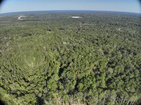 tbd Off Of Tilton Rd, Monticello, MS 39654 photo 2