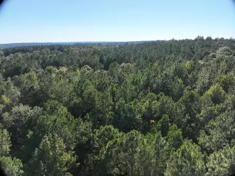 tbd Off Of Tilton Rd, Monticello, MS 39654 photo 15