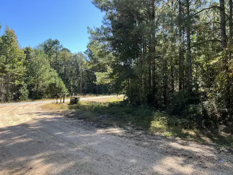 00 County Road 39, Paulding, MS 39348 photo 6