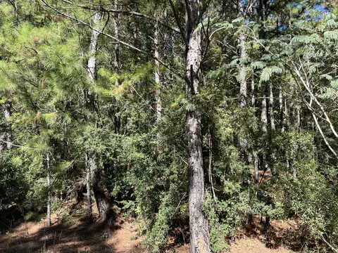 00 County Road 39, Paulding, MS 39348 photo 4