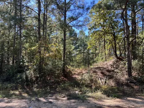 00 County Road 39, Paulding, MS 39348 photo 5