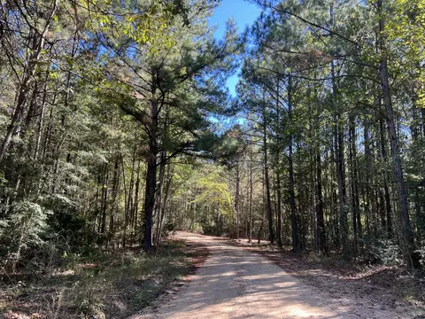 00 County Road 39, Paulding, MS 39348 photo 14