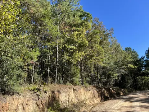 00 County Road 39, Paulding, MS 39348 photo 12