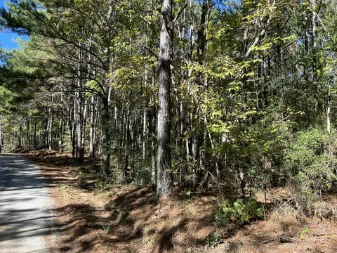00 County Road 39, Paulding, MS 39348 photo 8