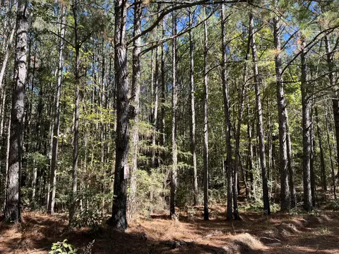 00 County Road 39, Paulding, MS 39348 photo 15