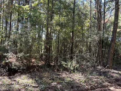 00 County Road 39, Paulding, MS 39348 photo 10