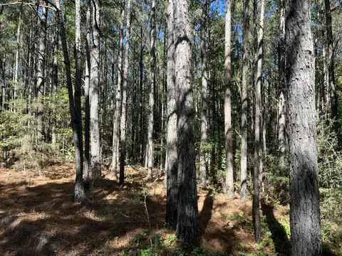 00 County Road 39, Paulding, MS 39348 photo 9