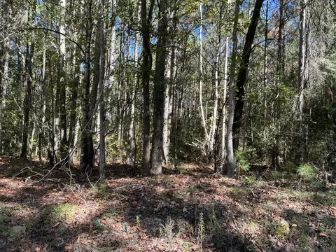 00 County Road 39, Paulding, MS 39348 photo 13