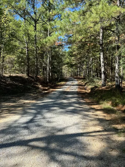 00 County Road 39, Paulding, MS 39348 photo 7