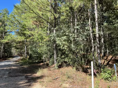 00 County Road 39, Paulding, MS 39348 photo 3