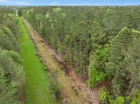 15 Old Hwy 35, Sandy Hook, MS 39478 photo 32