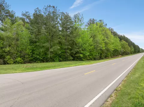 15 Old Hwy 35, Sandy Hook, MS 39478 photo 40